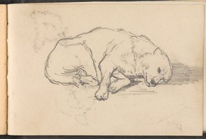 Boceto de un perro durmiendo, 1879 circa