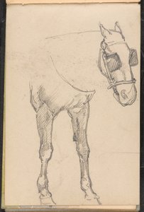 Boceto de caballo con anteojeras, 1879 circa de William Barnes Wollen