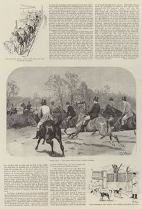 La caza de Grafton