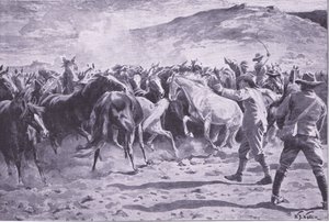 La captura de los caballos en el distrito de Brandwater cerca de Fouriesburg: reuniendo la manada, ilustración de Después de Pretoria: La Guerra de Guerrillas, 1902 de William Barnes Wollen
