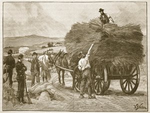 El rescate de las cosechas del Capitán Boycott, ilustración de 