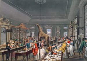 Interior del Salón Egipcio, Piccadilly, grabado por el artista, c.1815-25 de William Benjamin Sarsfield Taylor