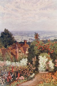 The Weald from the Doctor