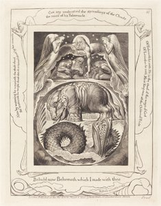 Behemoth y Leviatán