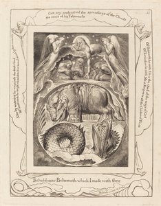 Behemoth y Leviatán, 1825