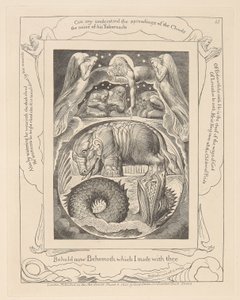 Libro de Job, Lámina 15, Behemoth y Leviatán
