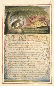El pequeño niño negro: placa 9 de 