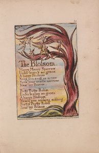 Canciones de Inocencia y de Experiencia, Placa 20, La Flor (Bentley 11) de William Blake