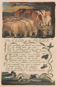 Canciones de inocencia y de experiencia, plancha 36, "El terrón y el guijarro" (Bentley 32) de William Blake