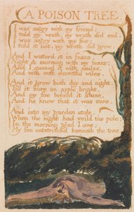 Canciones de Inocencia y de Experiencia, Placa 41, Un Árbol Venenoso (Bentley 49) de William Blake