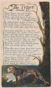Canciones de Inocencia y de Experiencia, Placa 42, El Tigre (Bentley 42) de William Blake