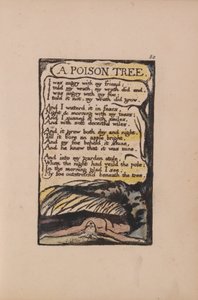 Canciones de Inocencia y de Experiencia, Lámina 50, Un Árbol Venenoso (Bentley 49) de William Blake