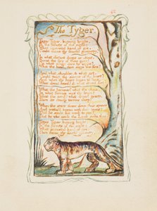 Canciones de Inocencia y de Experiencia: El Tigre, ca. 1825 de William Blake