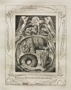 El Libro de Job: Pl. 15, He aquí ahora Behemoth que hice contigo, 1825