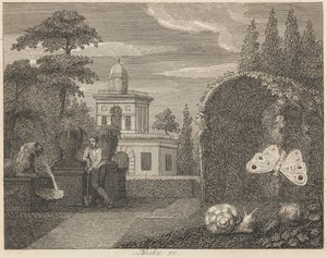 La mariposa y el caracol