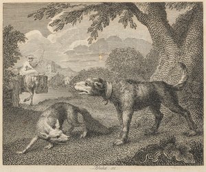 El perro y el zorro de William Blake