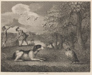 El perro y la perdiz de William Blake