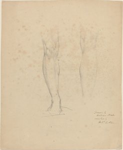 Dos piernas
