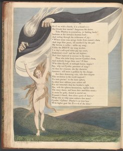 Pensamientos Nocturnos de Young, Página 46, Donde el sentido corre salvaje roto de la cadena de la razón de William Blake