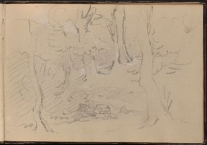 Bosquejo de un grupo de árboles de William Brockedon