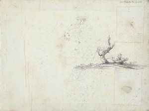 interior de la portada: Bosquejo de un árbol (invertido)