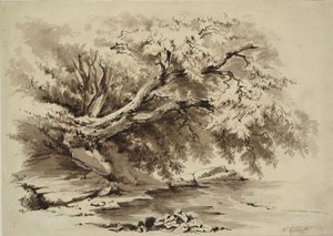 Paisaje con árboles colgando sobre un lago de William Collingwood Smith