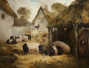 Hospitalidad de la Cabaña de William Collins
