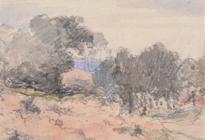 Paisaje: Casa y árboles de William Collins
