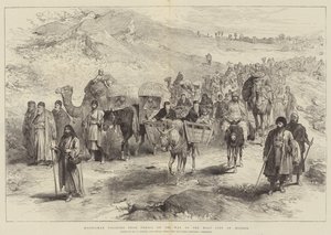 Peregrinos musulmanes de Persia en camino a la Ciudad Santa de Meshed
