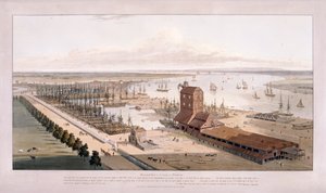 Muelle de Brunswick y Muelle de las Indias Orientales, Poplar, Londres de William Daniell