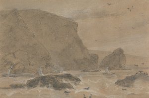 Roca de hinojo marino, St. Agnes, Cornualles de William Daniell