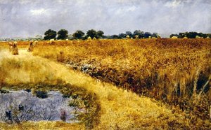 Un campo de maíz de William Davis