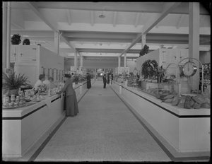 Vista interior del Mercado de la Calle 95 mirando al sur, Ciudad de Nueva York de William Davis Hassler