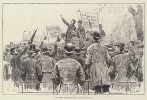 La reunión de Hyde Park, domingo, 20 de noviembre de William Douglas Almond