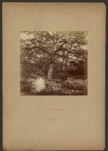 Bosque de Fontainebleau de William Drooke Harrison