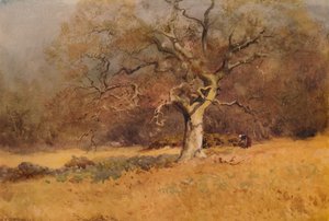 Bosques de invierno, c. 1916, 1938 de William Eyre Walker