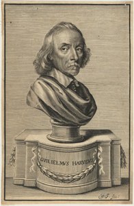 William Harvey, M.D. de William Faithorne