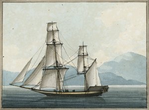 El agarre de Bombay de William Ffarington