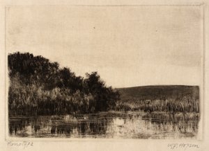 Paisaje fluvial