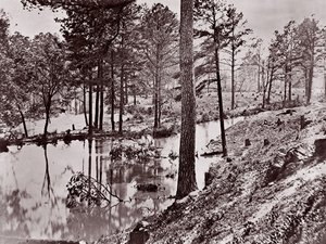 Broadway Landing, Río Appomattox de William Frank Browne