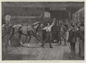 En la exhibición de caballos, cargado de honores de William Frank Calderon