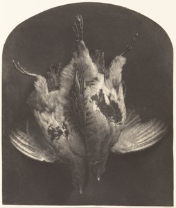 Un Par de Urogallos de William Frederick Lake Price