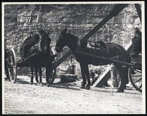 Fotografía horizontal en blanco y negro de dos carros tirados por caballos en una cantera de William G. Swekosky