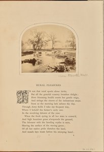 [Escena pastoral con ganado en un campo inundado, Inglaterra]