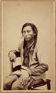 Lobo gris,1860s (foto) de William Gunnison Chamberlain