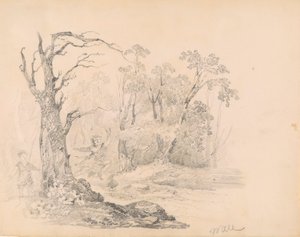 Escena de Scott de William Guy Wall