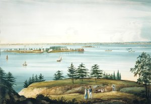 La bahía de Nueva York y la isla de los Gobernadores tomada desde Brooklyn Heights