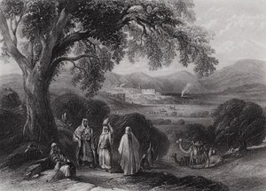 Valle de Nazaret de William H. Bartlett
