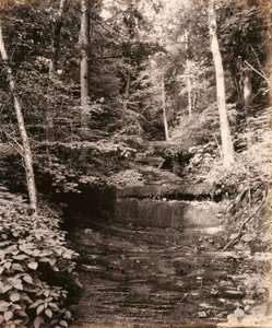 Lago Owasco, Cascade Glen, para el ferrocarril de Lehigh Valley de William H. Rau