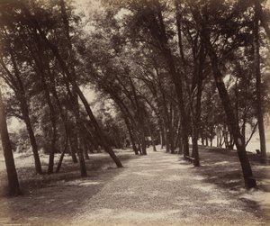 Zonas de Picnic de William H. Rau